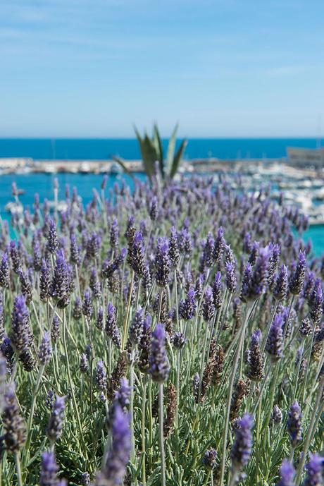 Una bellissima nobile dimora ad Otranto in Puglia