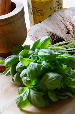 PESTO alla GENOVESE