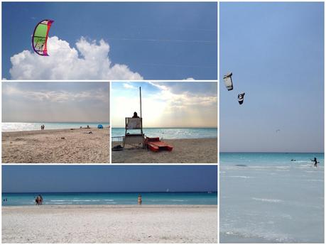 Le spiagge bianche di Rosignano