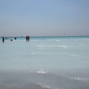 Foto_Spiagge_Bianche_Rosignano_Solvay (8)