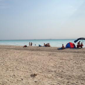 Foto_Spiagge_Bianche_Rosignano_Solvay (16)