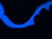 L’onda lunga della bufala, morte. Hoax annunciato.