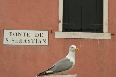 Vagabondaggi-Laguna e Terraferma (photogallery)