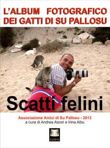 Estate a Su Pallosu: il gatto diventa protagonista