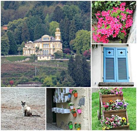 Margheritine di Stresa....un week end al Lago.