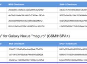 Android Jelly Bean: disponibile factory image Galaxy Nexus