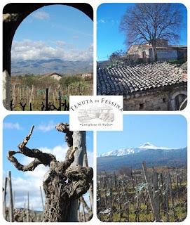 Etna, wine case history