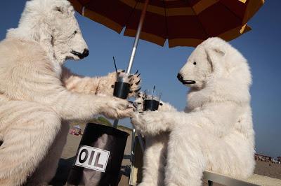 Avvistati due orsi polari sulla spiaggia di Ostia