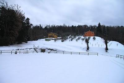 la neve a Pierino