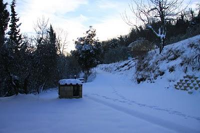 la neve a Pierino