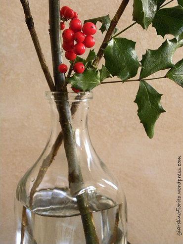 Bacche rosse d’inverno