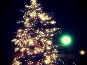 365project 114/365
