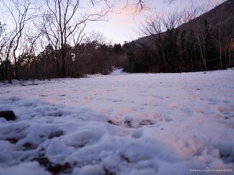 Neve in generale