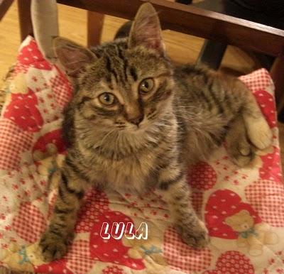 45 e non sentirli!!!