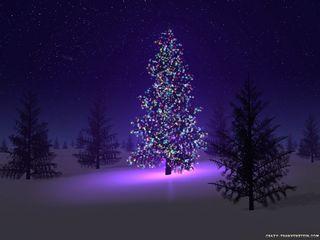 EEEEEEEEEEEEEEEEEbeautiful-christmas-tree