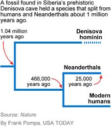uomo denisova neanderthal sapiens