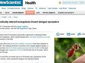 Zanzare combattere Dengue prove tecniche armi biologiche?