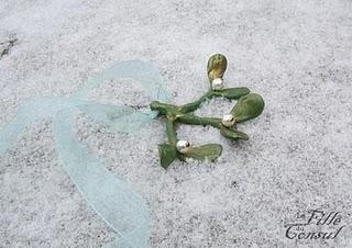 e vischio come gioiello