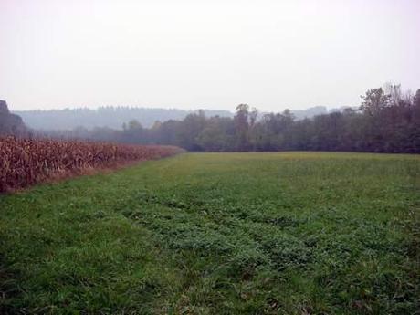 La residenza per anziani