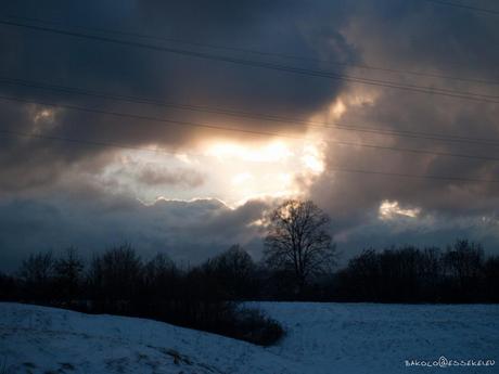 Neve in generale