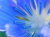 iOrder: l’App gestione clienti/prodotti viene scontata festività