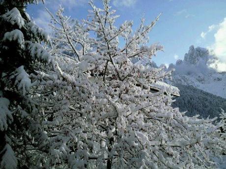 basta la neve ed è natale di Margherita Gadenz – n. 5