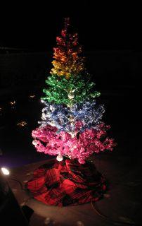 Natale Gay, Babbo Natale Polar Bear ed Albero Arcobaleno