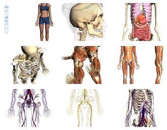google body screenshots