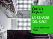 Stanze Sale Patrizia Dughero -Premio Giorgi 2010-