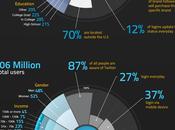 differenze Facebook Twitter (numeri)