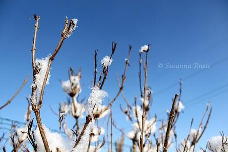 Come neve al sole