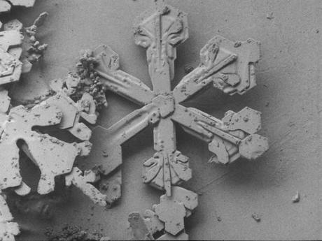 Un fiocco di neve al microscopio