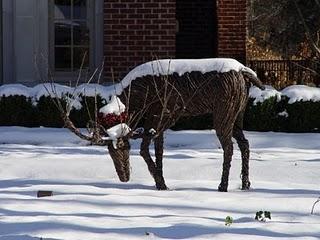 Animali da giardino...1