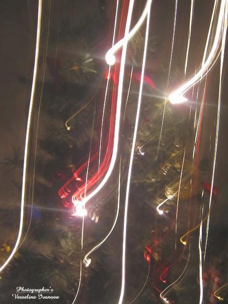 My Christmas Tree & Christmas Lights
