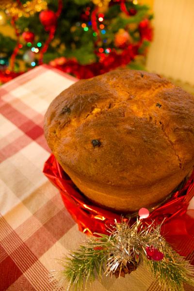 ∞ Panettone lattosio free 2.0