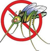 Fermiamo il rilascio di zanzare OGM!