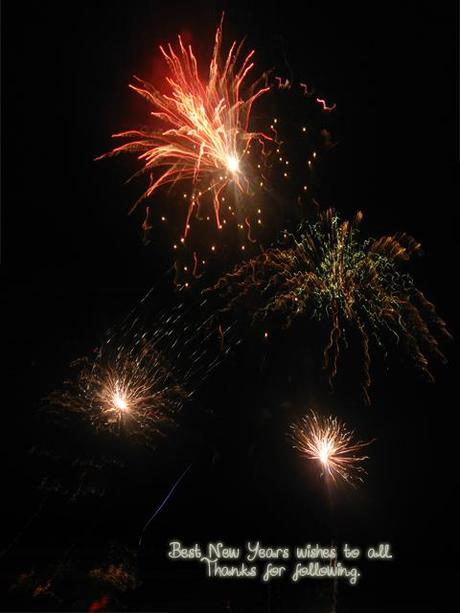 Felice 2011! | Нека е честита новата 2011!