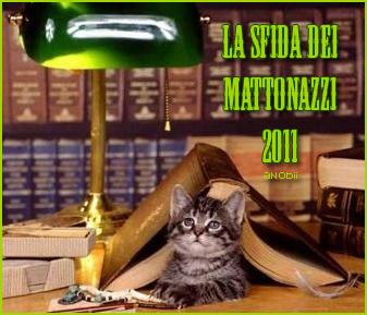 Sfida dei mattonazzi 2011