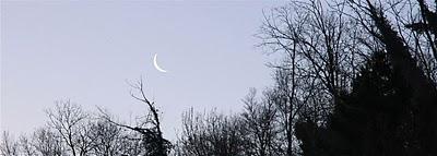 una lama di luna all'alba del nuovo anno