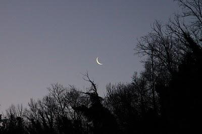 una lama di luna all'alba del nuovo anno