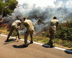 Corato/ Ambiente. Domato dai Bersaglieri di Altamura l’incendio sulla SP Corato Bisceglie, al km 19