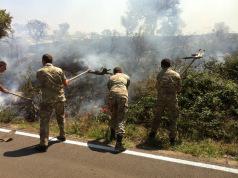 Corato/ Ambiente. Domato dai Bersaglieri di Altamura l’incendio sulla SP Corato Bisceglie, al km 19