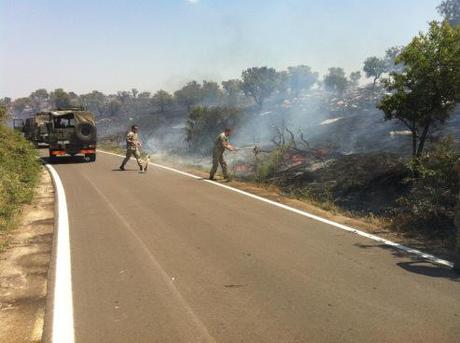 Corato/ Ambiente. Domato dai Bersaglieri di Altamura l’incendio sulla SP Corato Bisceglie, al km 19