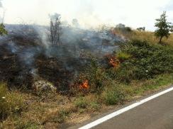 Corato/ Ambiente. Domato dai Bersaglieri di Altamura l’incendio sulla SP Corato Bisceglie, al km 19