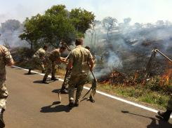 Corato/ Ambiente. Domato dai Bersaglieri di Altamura l’incendio sulla SP Corato Bisceglie, al km 19