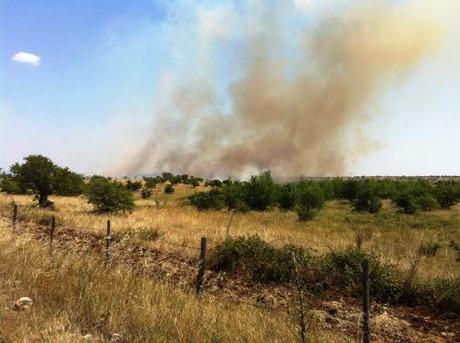 Corato/ Ambiente. Domato dai Bersaglieri di Altamura l’incendio sulla SP Corato Bisceglie, al km 19