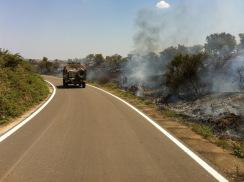 Corato/ Ambiente. Domato dai Bersaglieri di Altamura l’incendio sulla SP Corato Bisceglie, al km 19