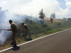 Corato/ Ambiente. Domato dai Bersaglieri di Altamura l’incendio sulla SP Corato Bisceglie, al km 19