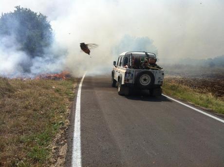 Corato/ Ambiente. Domato dai Bersaglieri di Altamura l’incendio sulla SP Corato Bisceglie, al km 19