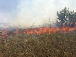 Corato/ Ambiente. Domato dai Bersaglieri di Altamura l’incendio sulla SP Corato Bisceglie, al km 19